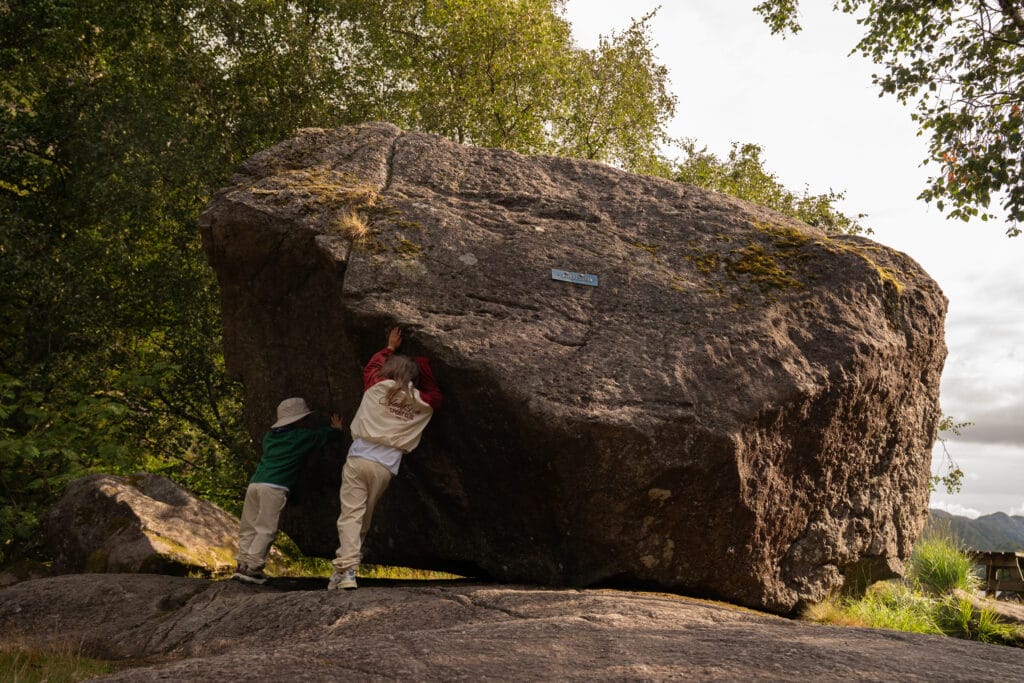 Large stone